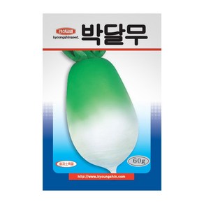 경신종묘 무씨앗 박달무 60g, 1개