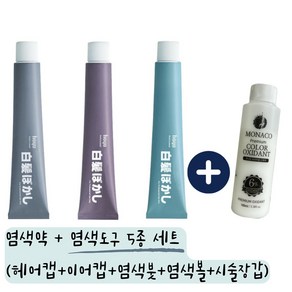 호유 프로마스터 보카시컬러 염색약 80g / 산화제+염색도구5종 포함, 염색도구5종, 1개, 블루그레이