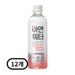 빙그레 아연워터 500ml, 12개