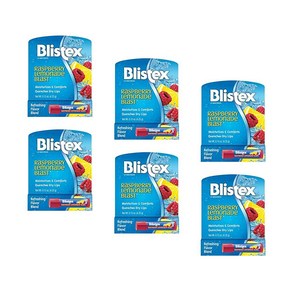 Blistex 라즈베리 레모네이드 블래스트 립 프로텍턴트 4.2g (6팩)