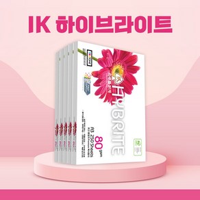 하이브라이트 A3용지 80g 1250매 1박스 복사용지