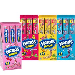 NERDS 너드 로프 젤리 캔디 개별 포장 25.5g 24개입 4가지 맛 중 택1, 03. 베리베리 24개입 1개, 1개