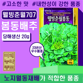 웰빙춘월707 봄동 배추 씨앗 20g- 노지월동가능 9-10월파종, 1개