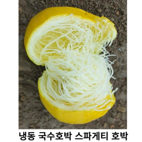 국내산 냉동 국수호박 1kg 2kg 국산 간편한 냉동 스파게띠 호박 스파게티 스쿼시 호박이면 키토식단 다이어트 건강식, 1개