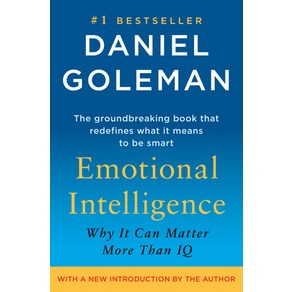 (영문도서) Emotional Intelligence: Why It Can Matte Moe Than IQ Papeback, Bantam