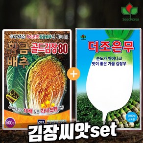 김장배추씨앗 김장무씨앗 2종 세트 황금배추 김장80 500립 더조은무 1100립, 1개