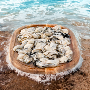 통영 굴 제철 최상급 깐굴 생굴 1kg (가열조리용), 1개, 5kg