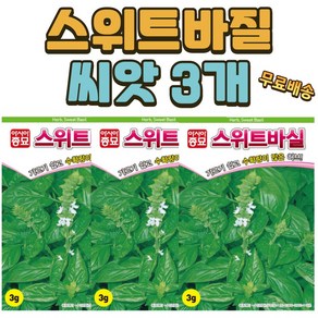 스위트 바질씨앗 3개 허브씨앗 허브키우기