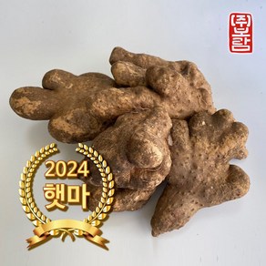 보람농장 안동 마 산마 2kg 3kg 5kg 2024년 햇마