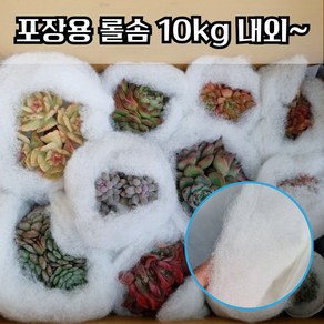 포장 솜 10kg내외 택배 식물 다육이 그릇 유리 도자기 화분 포장용 이불솜, 1개