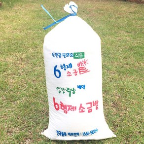 23년 신안6형제천일염 20kg 인간극장 방영 믿고찾는 육형제소금 엄선된 알이굵고 깨끗한소금, 1개