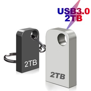 usb메모리 2테라 미니 3.0 대용량usb 1테라 USB 2Tb, C 타입 어뎁터, 1개