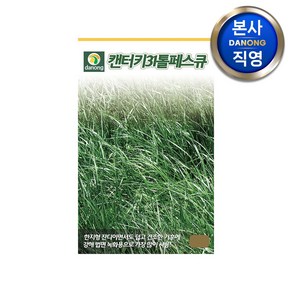 켄터키31톨훼스큐 잔디 씨앗 1kg . 법면 녹화용 비탈면 토양 침식 방지 종자, 1개