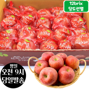 [오전8시 주문건 당일발송] 12브릭스 당도선별 세척사과 3kg (16~21입 소과), 1개