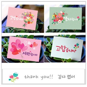 고운카드 감사엽서 캘리그라피 일러스트 엽서 모음