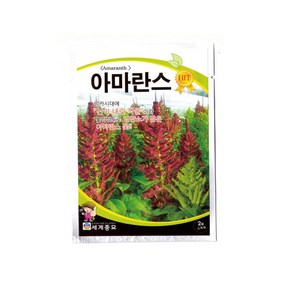 모칸도 (무배)세계 아마란스 꽃씨(2g), 1개