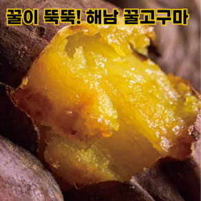 [새싹팜] 해남 꿀 고구마 세척 베니하루카 특상 산지직송, 1박스, 3kg