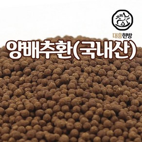 대흥한방 양배추환 150g 국내산, 1개