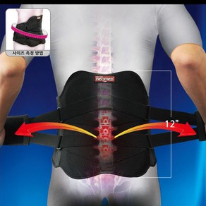 네오 허리보호대 세미챔프 JC-B-8200 허리복대, 1개