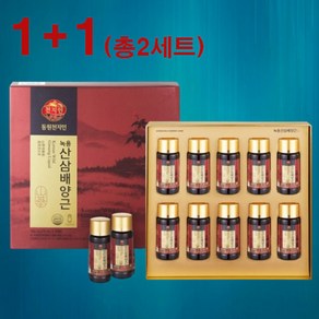 (1+1 이벤트행사) 동원 천지인 녹용 산삼배양근 75ml x 10병+10병 (총2박스 쇼핑백포함)