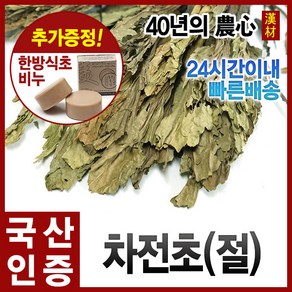 자애인 국산 차전초 600g 질경이차 말린차전초 질경이 차, 1개