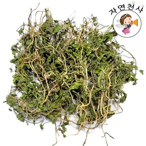 야생 메꽃 300g 전초 잎 줄기 뿌리 꽃 씨앗 직접채취 깨끗한손질