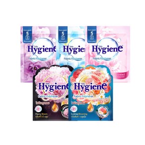 하이젠 Hygiene 옷장용 차량용 퍼퓸 프레셔너 5종 1세트