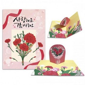 [Ella] 입체카네이션카드 1, 상세페이지 참조, 상세페이지 참조