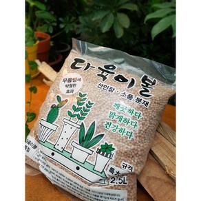 다육이 볼 5가지 사이즈 2.5L, 1개