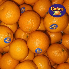 [팜쿡] 만다린귤 큐티스 만다린 cuties 1kg 12-15과내외, 단품, 단품