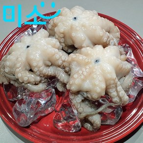 미소 꼬마 문어 손질 진공포장 500g(3-4미)