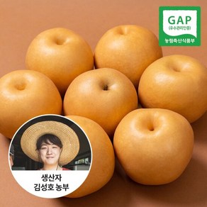 [신선연구소]GAP인증 24년 나주 햇배 가정용 5kg 6-10과