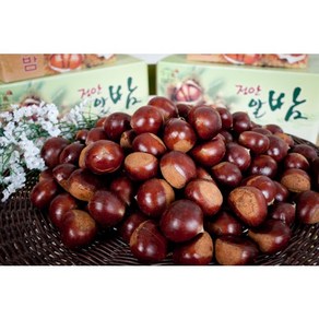 공주밤 옥광밤 정안밤 중사이즈 [원산지:국산(충청남도 공주시)], 1개, 2kg