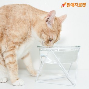스펜서 반려동물 유리 수반, 1개, 화이트 H14