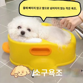 오리 애견 욕조 강아지 소형견 목욕통