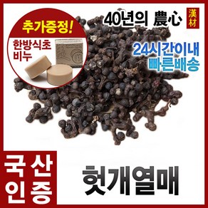 자애인 국산 자연산 헛개열매 1200g 헛개차 열매, 단품, 1.2kg, 1개