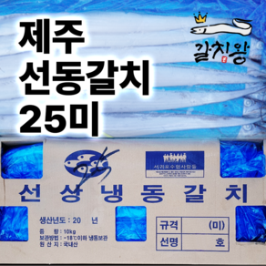 제주 선동갈치 1상자 10kg 25마리 산지직송 제주갈치, 선동갈치 25미, 1개