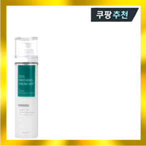 앤서나인틴 시카 핀테놀 크림 미스트 120ml, 1개