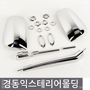 뉴그랜드카니발 익스테리어몰딩