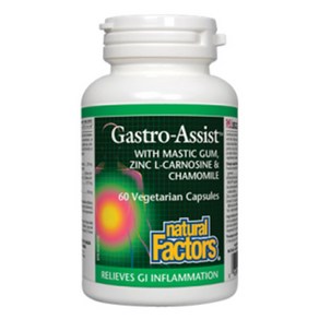 내추럴팩터스 개스트로 어시스트 매스틱검 아연 60정 (Natual Factos Gasto-Assist), 1개, undefined