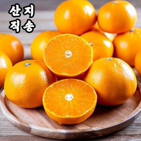 [팜&팜] 천혜향 제주 제철 서귀포 고당도 선물용 프리미엄, 1세트, 중소과2.5kg(9-18과)