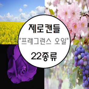 제로캔들 프리미엄 프래그런스 오일, 100ml모링가, 1개