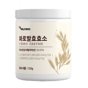 에너데이 파로발효효소 120g, 1개