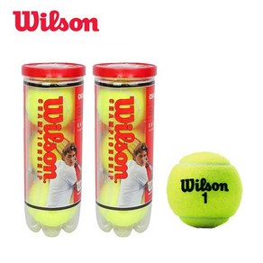 윌슨 Tennis Ball 공 챔피언쉽 하드코어 6구 1세트 WRT100101