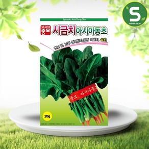 솔림텃밭몰 시금치씨앗 20g 아시아동초 시금치 월동시금치 토종