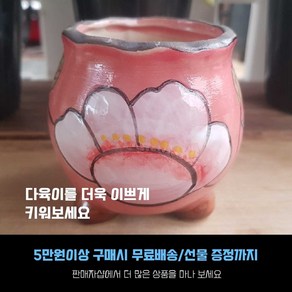 다육 다육화분 - 작은 복주머니 화분 4개세트 (화분사이즈-높이 8cm 입구-6.5cm), 4번- 빨강색, 1개