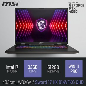 MSI 소드 17 HX B14VFKG QHD, WIN11 Po, 32GB, 512GB, 그레이