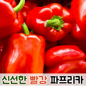 국산 싱싱한 아삭아삭 못난이 빨강 파프리카 1kg 2kg 5kg / 못난이파프리카 야채 파프리카5kg 빨강파프리카 파프리카빨강 빨간파프리카 못난이파프리카혼합