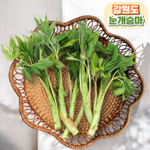 [산지직송 제철 봄나물] 눈개승마 삼나물, 1개, 500g