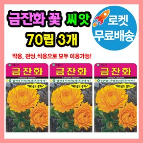 금잔화 꽃 씨앗 (합 210립) 꽃씨 종자, 3개